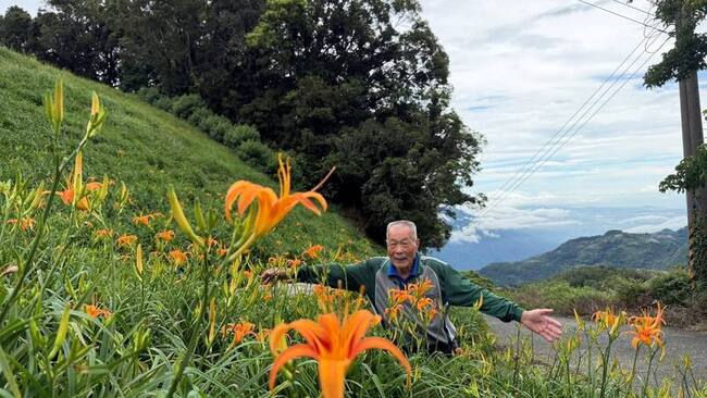 雨多風少花苞更茂密　台東太麻里金針花季9日開跑 | 華視新聞