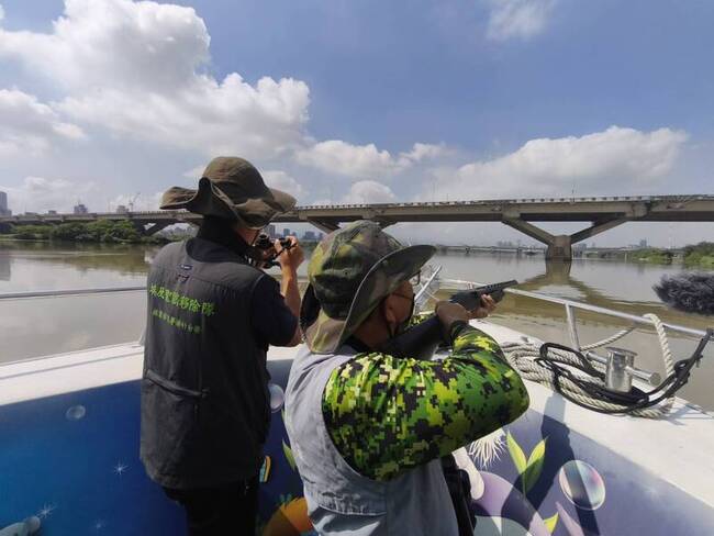 林保署新竹宜蘭分署合作　移除淡水河水域埃及聖䴉 | 華視新聞