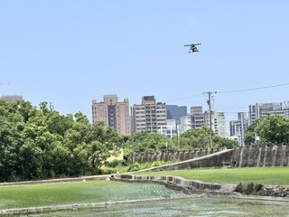 竹北啟動科技防治紅火蟻 無人機撒布餌劑提升效率