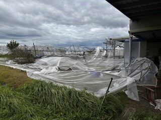 颱風丹娜絲重創　庇護工場重建可申請裝潢補助