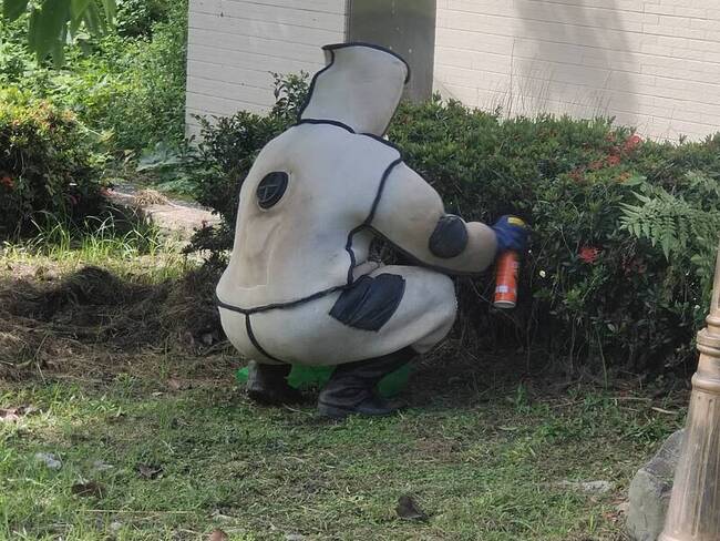 砍草遭虎頭蜂螫　花蓮玉里鎮公所人員送醫幸無大礙 | 華視新聞