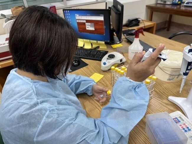 動物用藥毒素檢驗不再用鱟血  守護海洋活化石 | 華視新聞