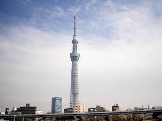 跨年機票降價2成  東京大阪票價較113年省2000元