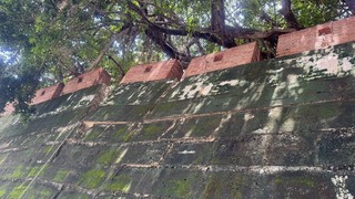 台南豪大雨  國定古蹟府城南門段城垣傾斜沉陷