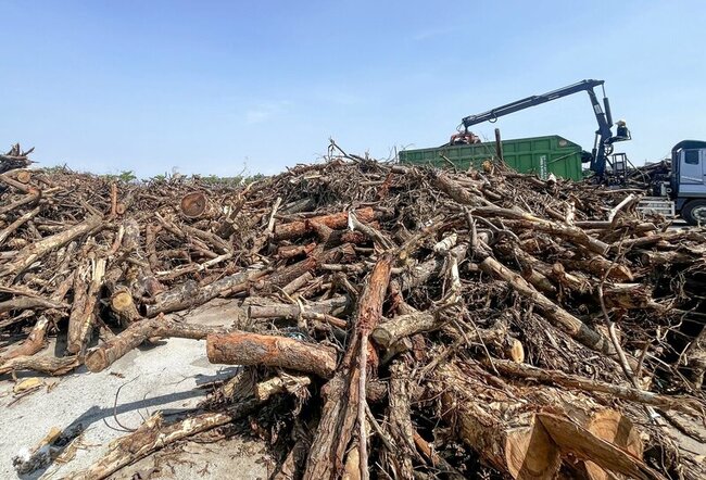 嘉縣風災殘枝樹幹堆積如山　企業伸援成溫暖力量 | 華視新聞