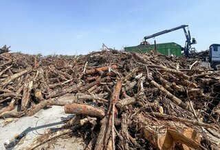 嘉縣風災殘枝樹幹堆積如山　企業伸援成溫暖力量