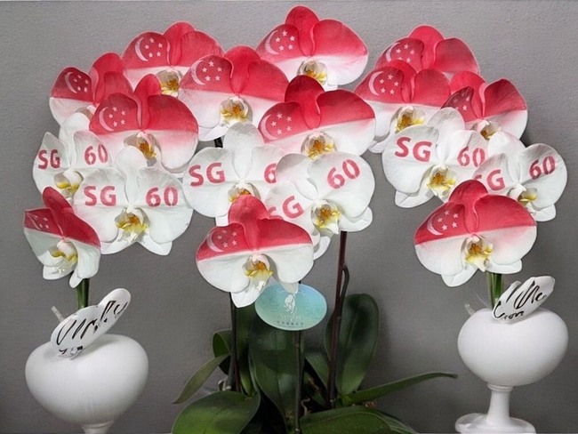 新加坡60週年國慶　台灣致贈奈米噴漆蘭花祝賀 | 華視新聞