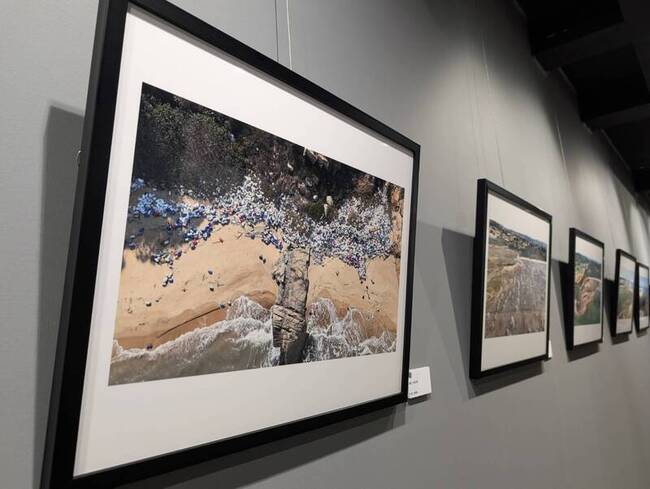 金門展覽關注潮間帶環境　議員籲有效防治外來種 | 華視新聞