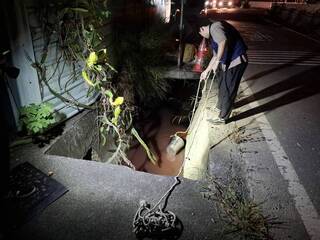 高雄大寮圳染紅飄惡臭　環保局查獲冷凍食品廠偷排