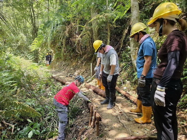 台日學生手作澀水森林步道　低破壞工法守護自然 | 華視新聞