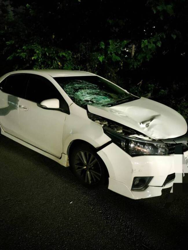 台中沙鹿女子穿越馬路遭車撞　重創送醫不治 | 華視新聞