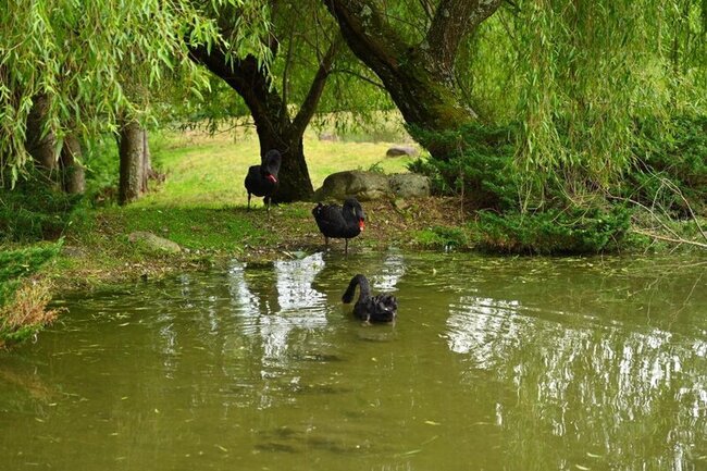 颱風楊柳逼近　武陵農場8/12下午起休園 | 華視新聞