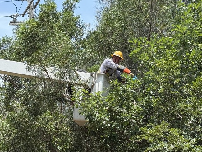 颱風楊柳接近  金門消防整備防颱因應風倒木 | 華視新聞