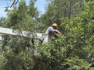 颱風楊柳接近  金門消防整備防颱因應風倒木