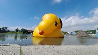 颱風楊柳逼近 宜蘭童玩節史努比鴨消氣晚間起休園