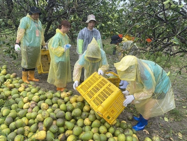 響應國際青年日　教部鼓勵青年投入災後應變重建 | 華視新聞