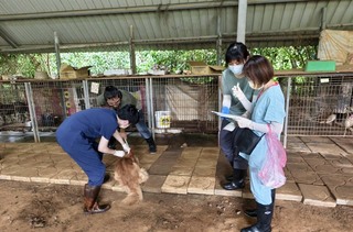 新埔狗園虐犬案逾10隻犬死亡  竹縣府移送偵辦