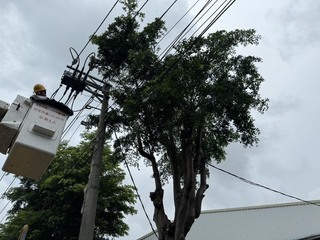 高雄樹木修剪致停電4738戶  因颱風山區撤2202人