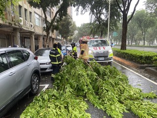 颱風楊柳襲台　高雄停電逾4千戶、樹倒壓傷多人