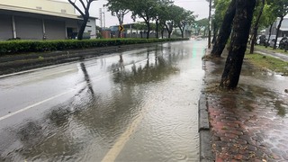颱風楊柳侵台　高雄鳥松神農路受樹葉阻塞積水