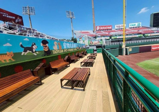 桃市府攜手樂天桃猿　棒球場寵物樂園8/22啟用