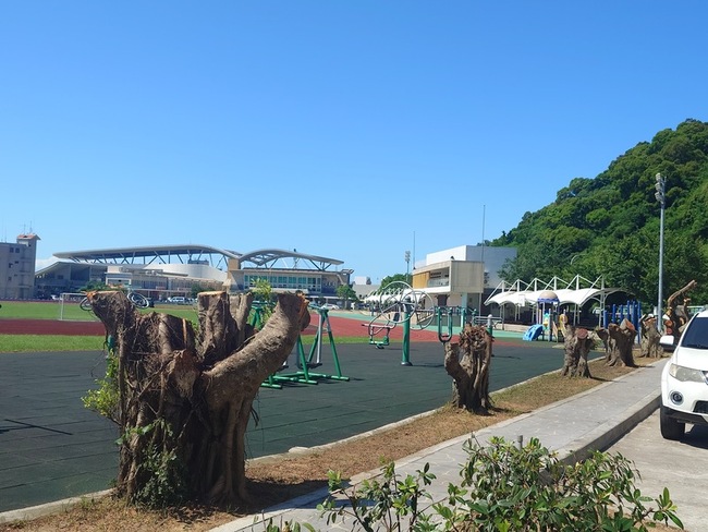 南竿福澳運動場榕樹疑遭砍　縣府：為移植做準備 | 華視新聞