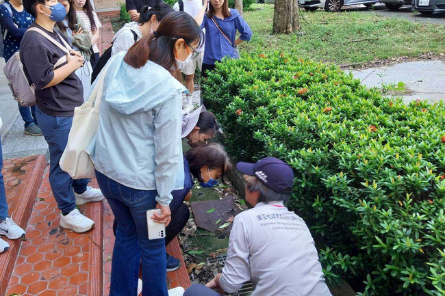 台南雨後嚴防登革熱　校園孳清演練延伸社區 | 華視新聞