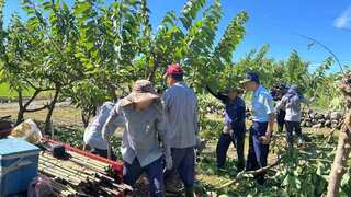 颱風楊柳重創台東　收容人協助恢復家園和農作復耕