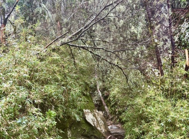 颱風楊柳重創後整修  嘉明湖17日開放 | 華視新聞