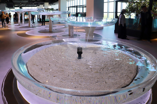 360度近賞企鵝水母燈光秀　台中海洋館6亮點搶先看 | 華視新聞