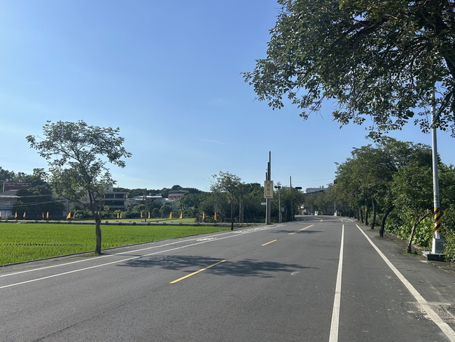 彰化彰南路部分黃金風鈴木移除　不影響黃金大道 | 華視新聞