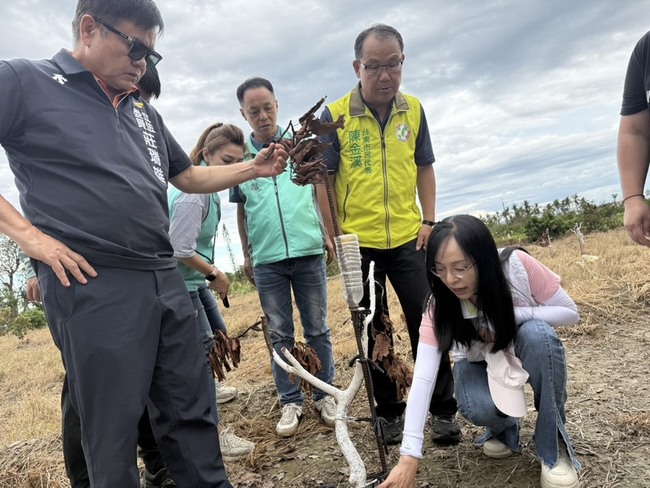 颱風楊柳重創台東酪梨  立委籲農業部專案補助 | 華視新聞