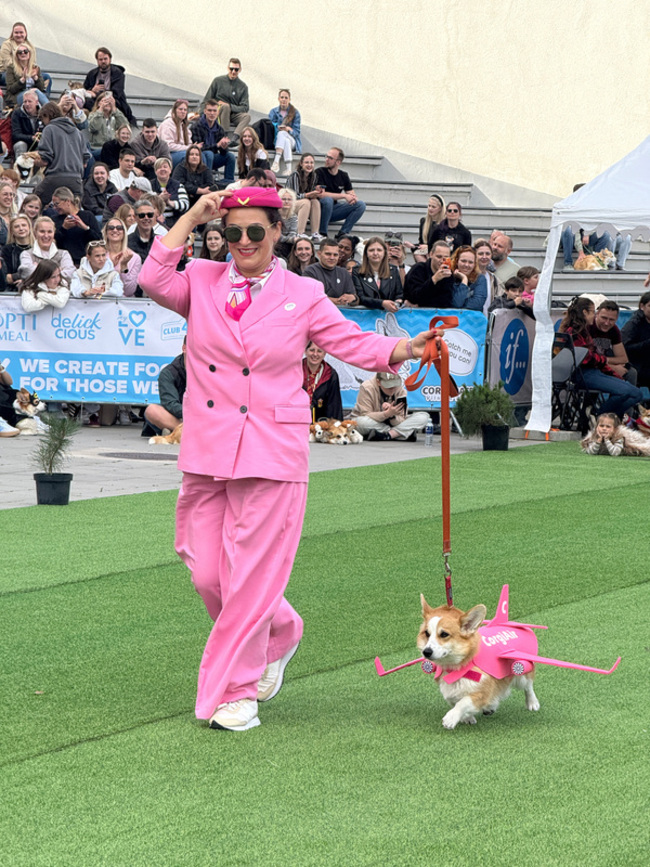 立陶宛年度柯基犬賽跑 百隻短腿毛孩飛奔萌翻全場 | 華視新聞