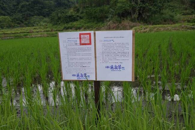 花蓮男子22次無照累罰40萬　遭查封土地後速繳清 | 華視新聞