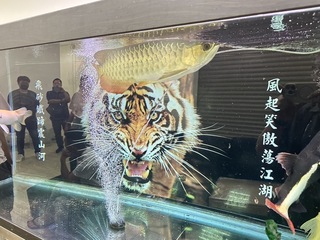 查獲10億元金流 竹檢瓦解跨國詐騙機房起訴27人