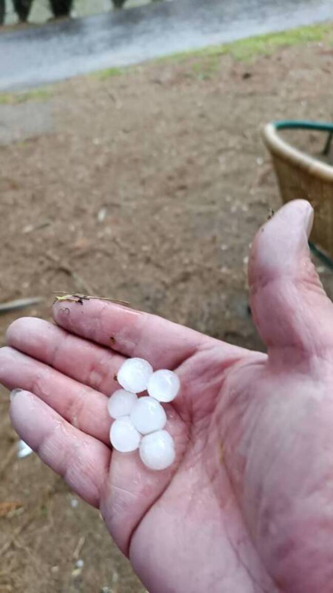 台中梨山地區又下冰雹　農友憂心蘋果、梨災損 | 華視新聞