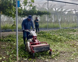 高市辦觀摩會推果園機械化 去藤效率提高8倍