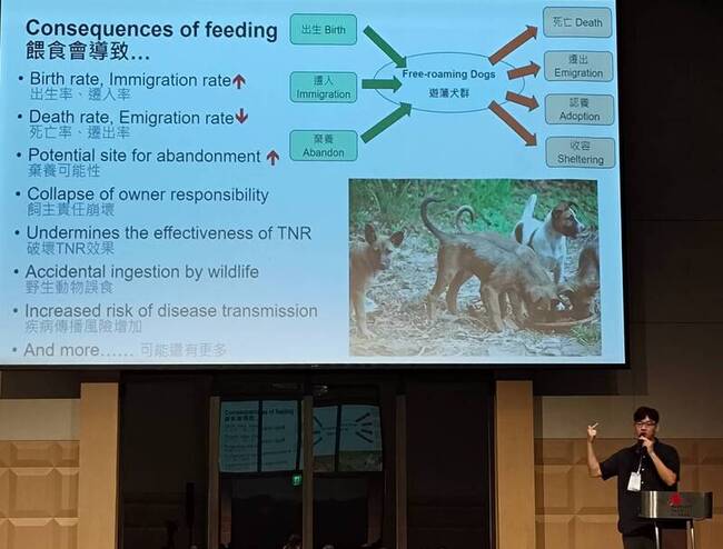 遊蕩犬是否該餵食　學者：破壞絕育效果 | 華視新聞