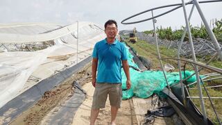 嘉縣溫網室因颱風嚴重受損 農業處媒合廠商助拆除