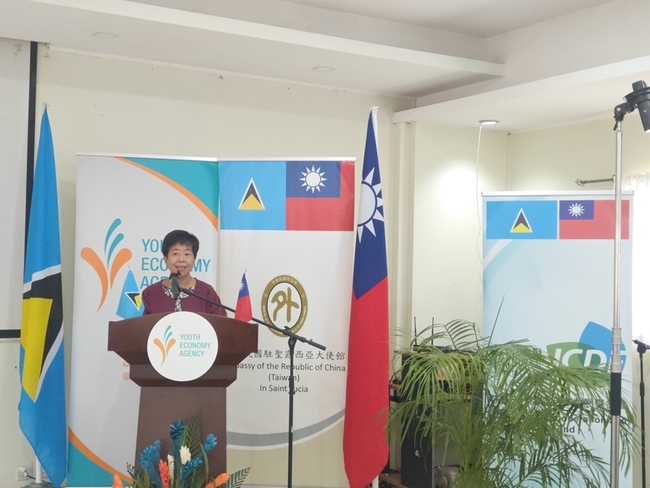 國合會偕聖露西亞推電商平台　助青年婦女創業競爭力 | 華視新聞