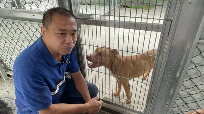 傷人比特犬移居雲林　新飼主為牠花40萬蓋新居 | 華視新聞