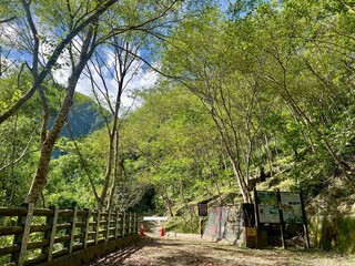 風災後林保署加快搶修　台東麻荖漏等多條步道開放