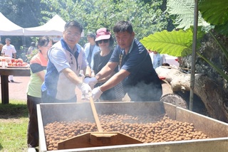 南投中寮鄉龍眼文化季  重現傳統起灶儀式祈豐收