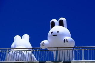 新北新月橋推超萌兔兔Q  將成中秋打卡熱點