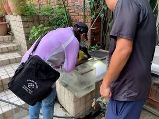 台南第10例登革熱境外移入　首來台印尼學生確診