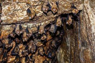 花蓮月洞調整開放時段  新增自由行遊客電話預約