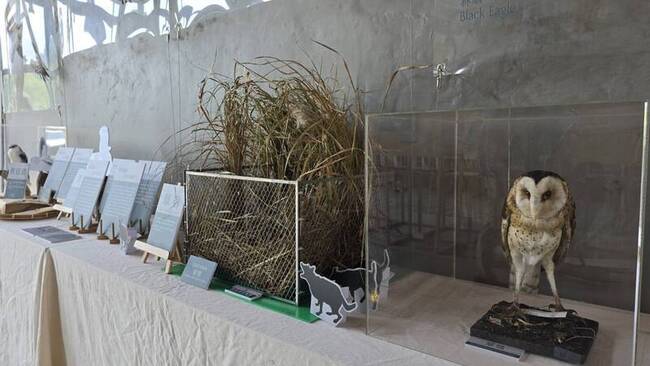 東勢林業園區修理工廠　11/2前展出猛禽生活 | 華視新聞