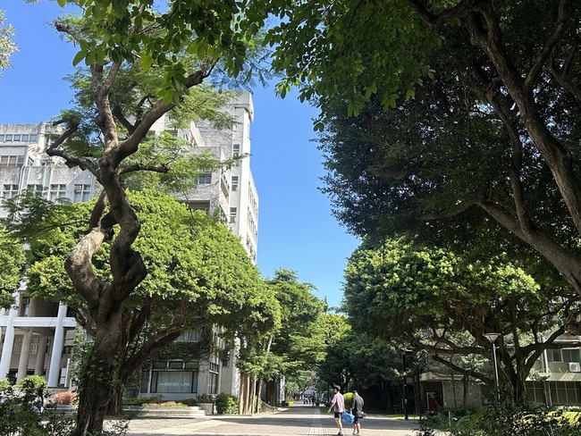 逢甲大學總體檢校內樹木　22棵開學前移除 | 華視新聞