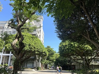 逢甲大學總體檢校內樹木　22棵開學前移除