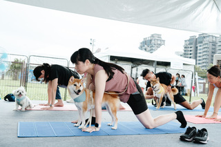 台北動保教育月啟動　推人寵瑜珈讓飼主與毛孩同樂